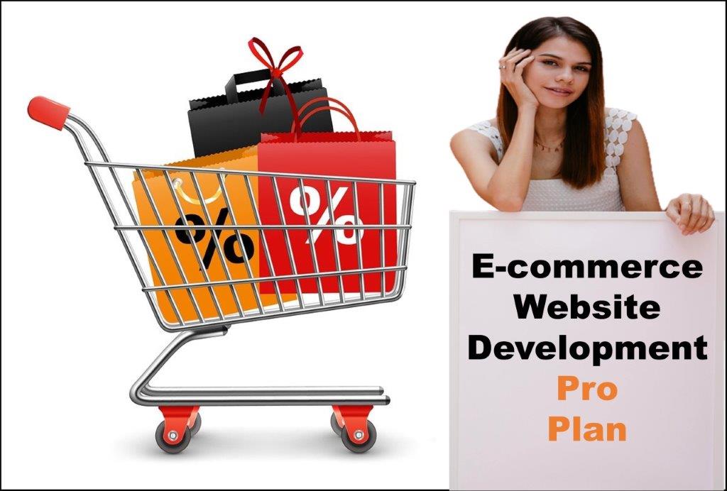 professional ecommerce website development agency in Montpelier Vermont