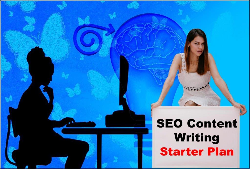 seo content writing service provider in Montpelier Vermont