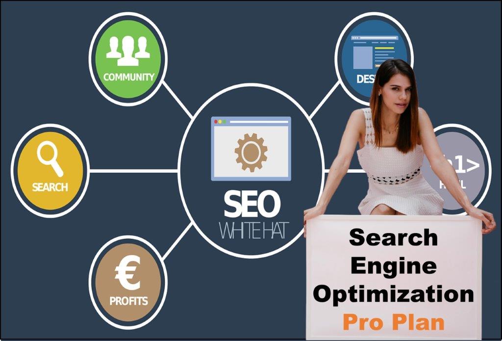 seo company Montpelier Vermont