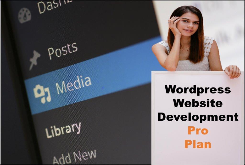 wordpress website designing in Montpelier Vermont